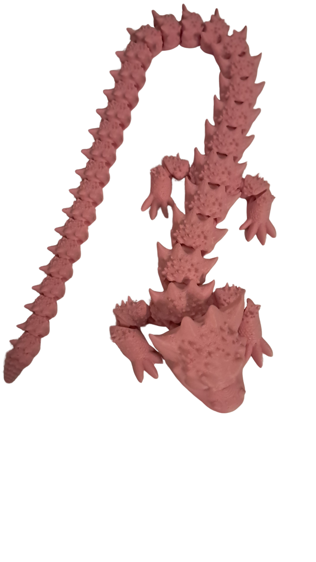 Flexi Dragon