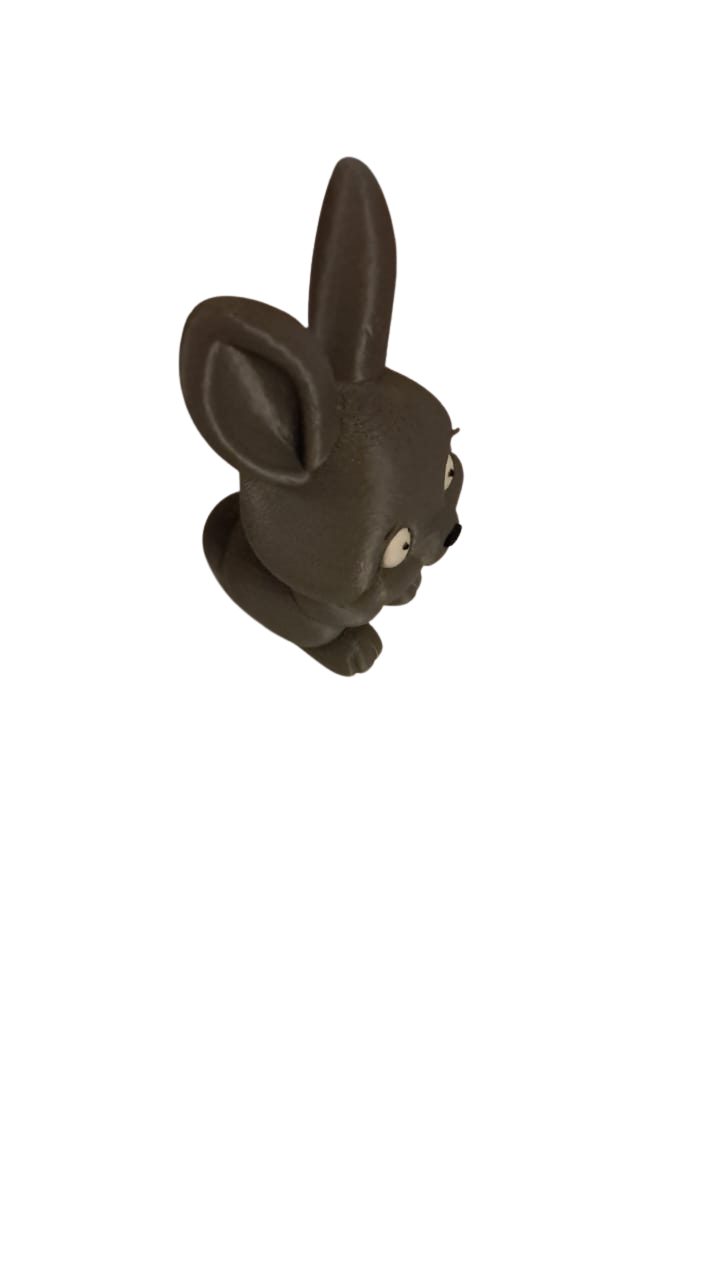 Bunny Model/Toy