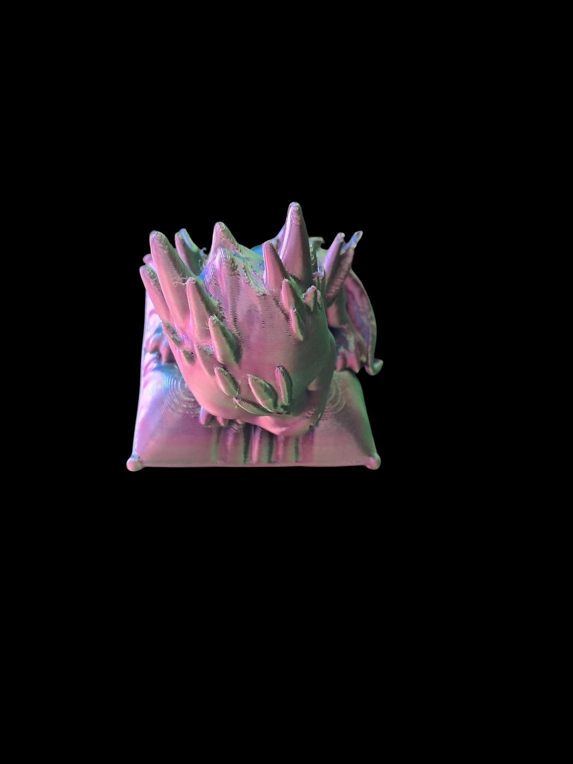 Sleeping baby dragon